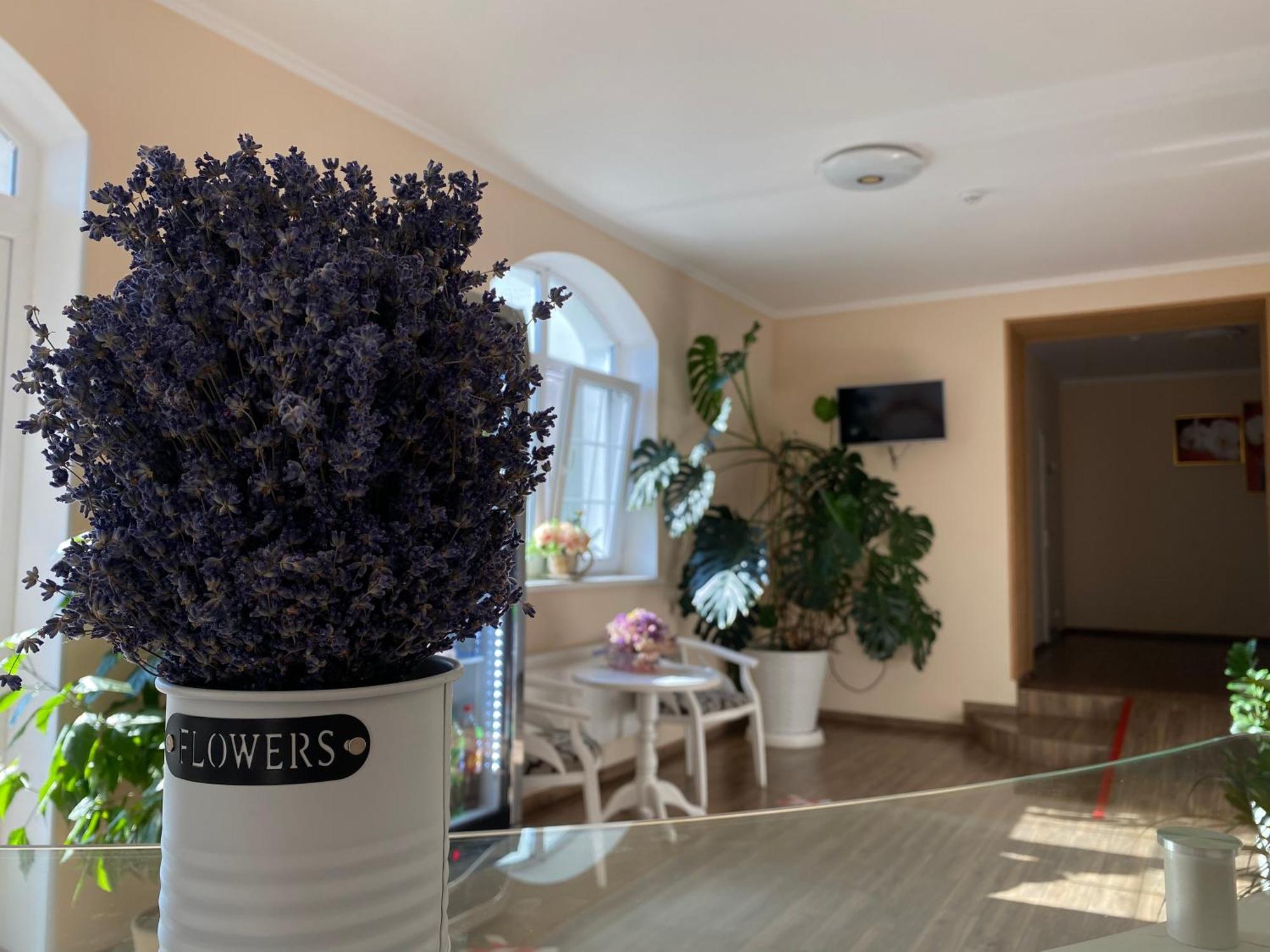 Орхідея Hotel Romni Kültér fotó