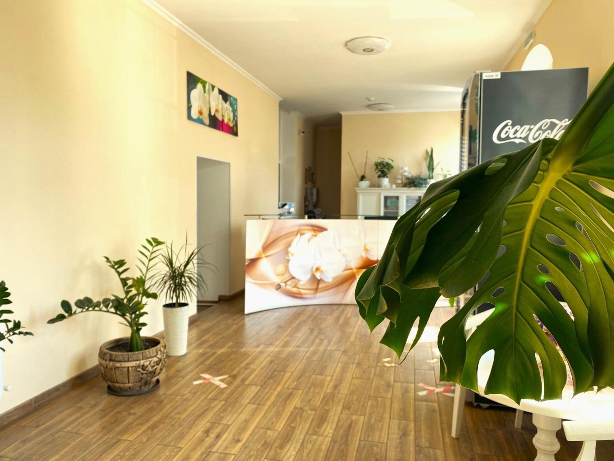 Орхідея Hotel Romni Kültér fotó
