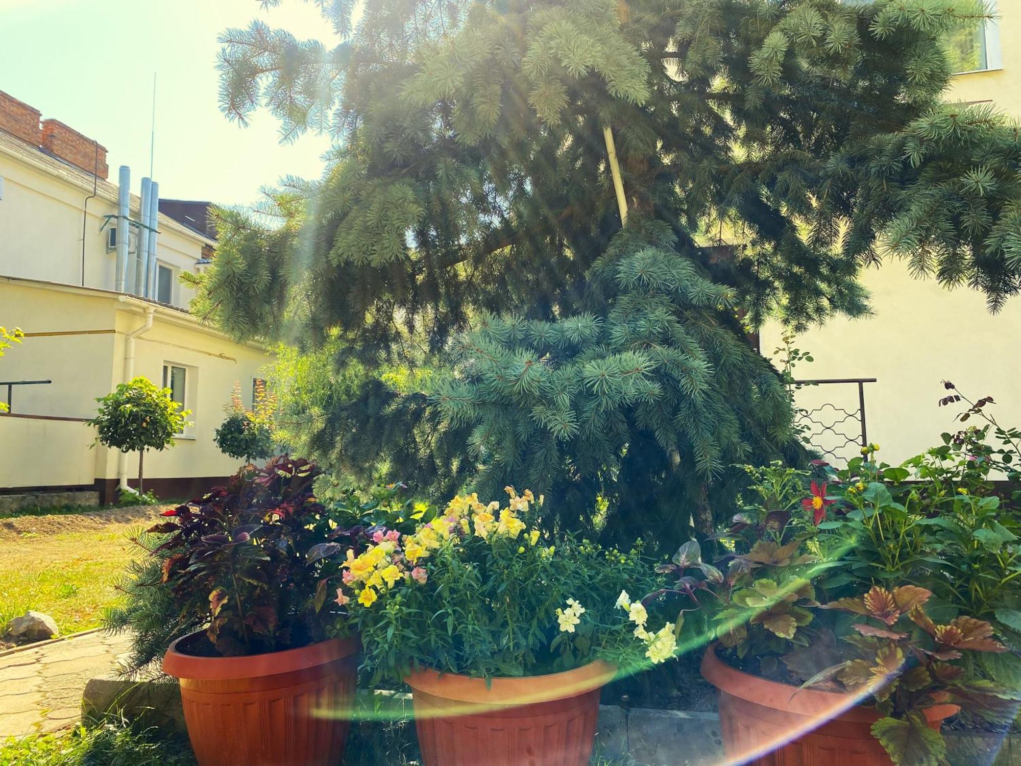 Орхідея Hotel Romni Kültér fotó
